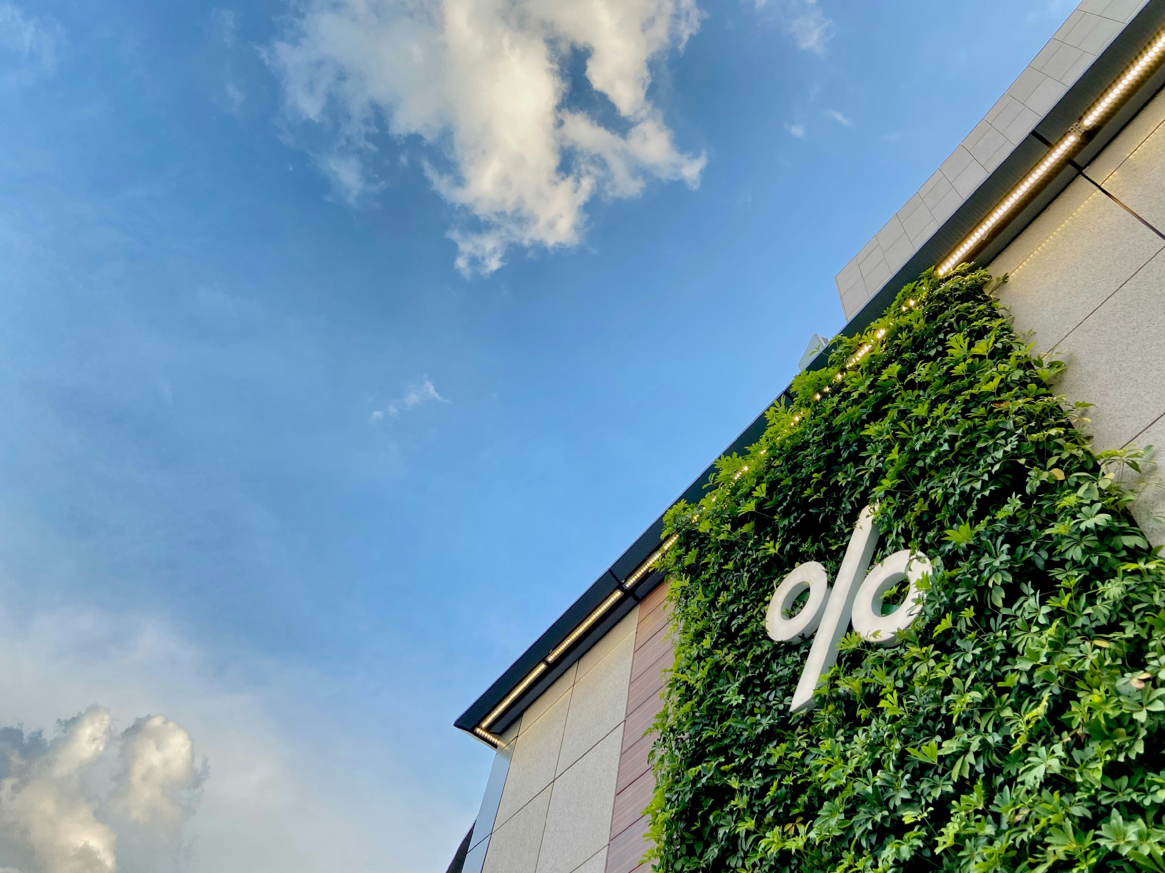 Faiz Hesablamaq Asandır: 5 Əsas Formula (Nümunələrlə)